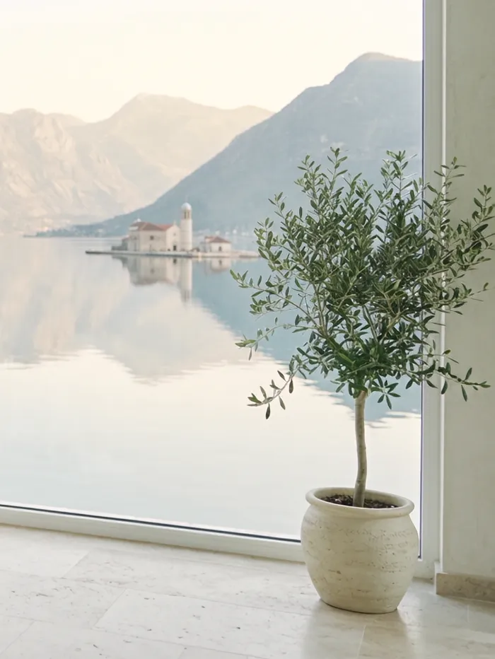 Treatment room with a large window: the calm Bay of Kotor, an island with a church and an olive tree in a pot.